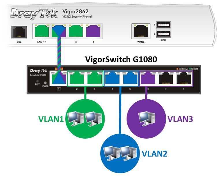 Draytek VSG1080 8 Port Desktop Switch Showing VLAN Seperation